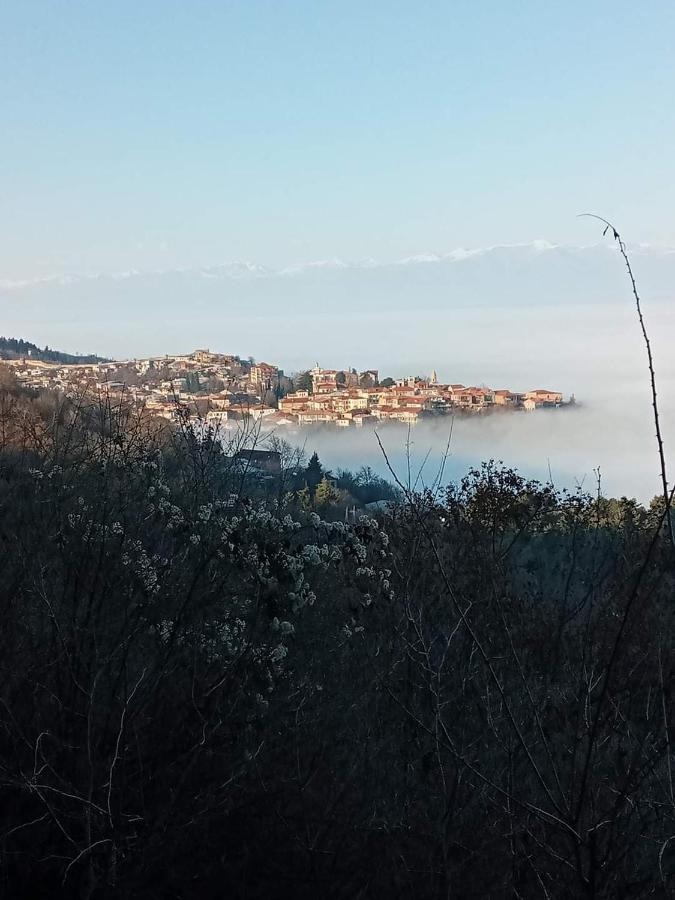Guest House David Sighnaghi Bagian luar foto