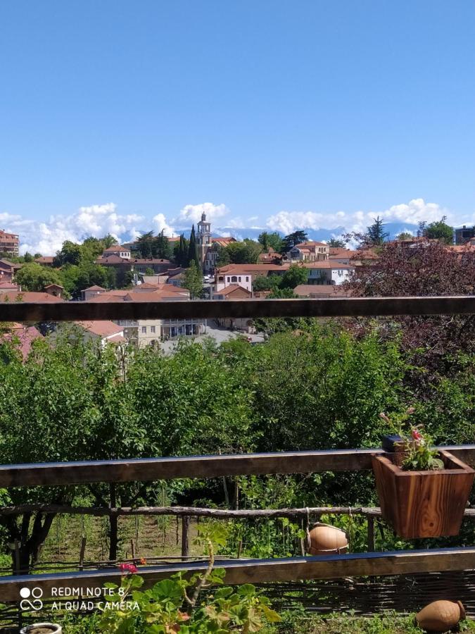 Guest House David Sighnaghi Bagian luar foto