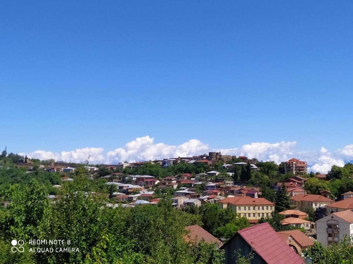 Guest House David Sighnaghi Bagian luar foto