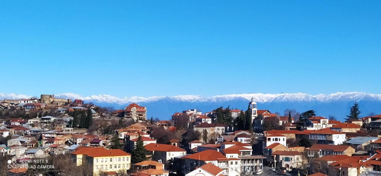 Guest House David Sighnaghi Bagian luar foto